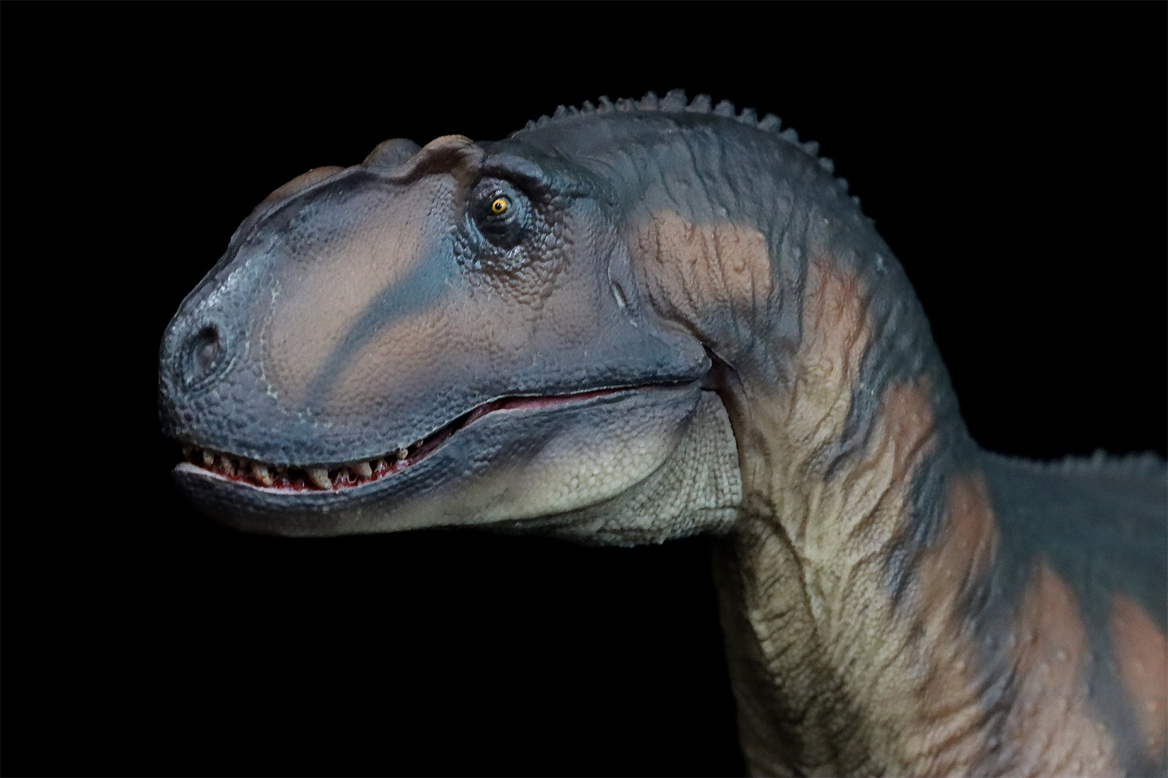 PNSO Yangchuanosaurus Magnus Dapeng Model