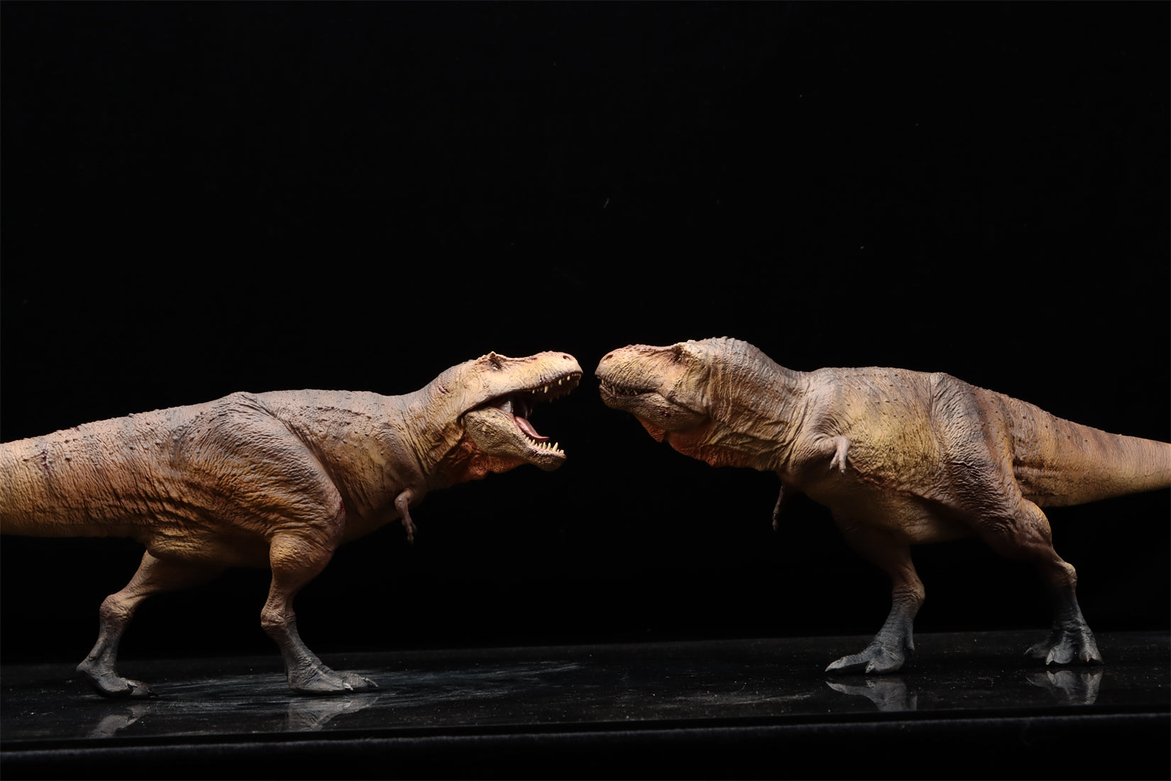 SHOWANNA Studio 1:35 Scale Tyrannosaurus Rex Scotty Model