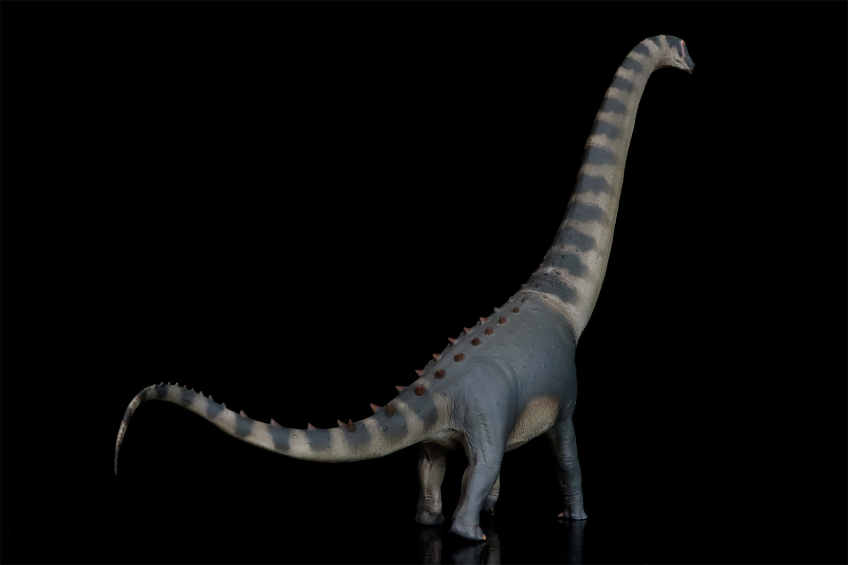 PNSO Alamosaurus Samuel Model