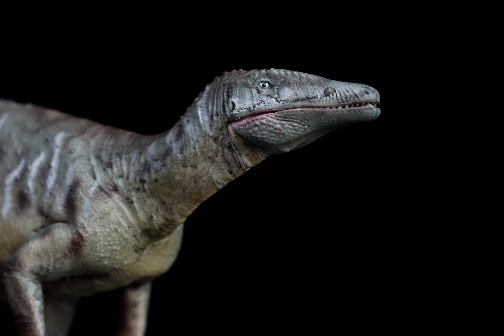 HAOLONGGOOD 1:35 Scale Megaraptor Model