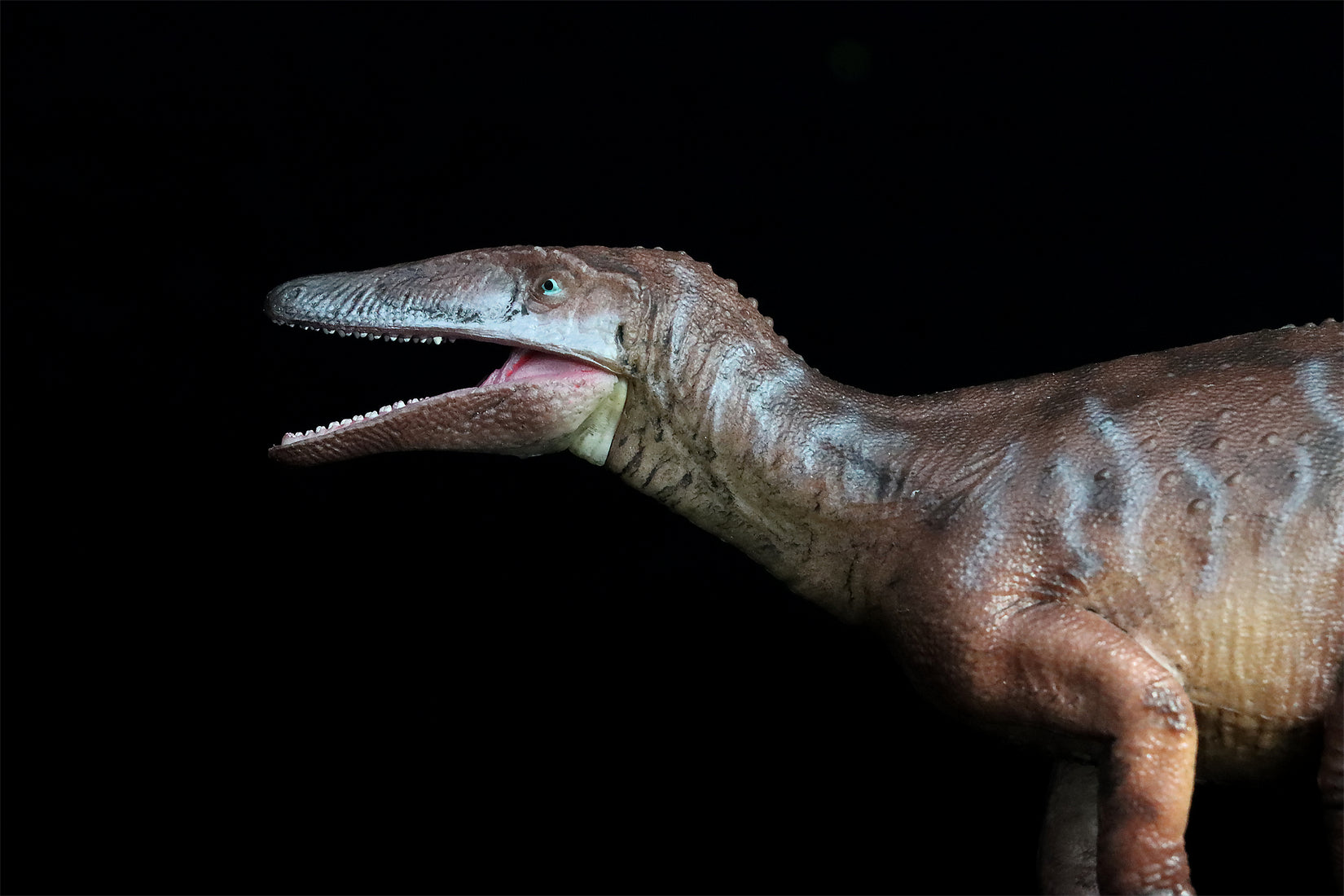 HAOLONGGOOD 1:35 Scale Megaraptor Model