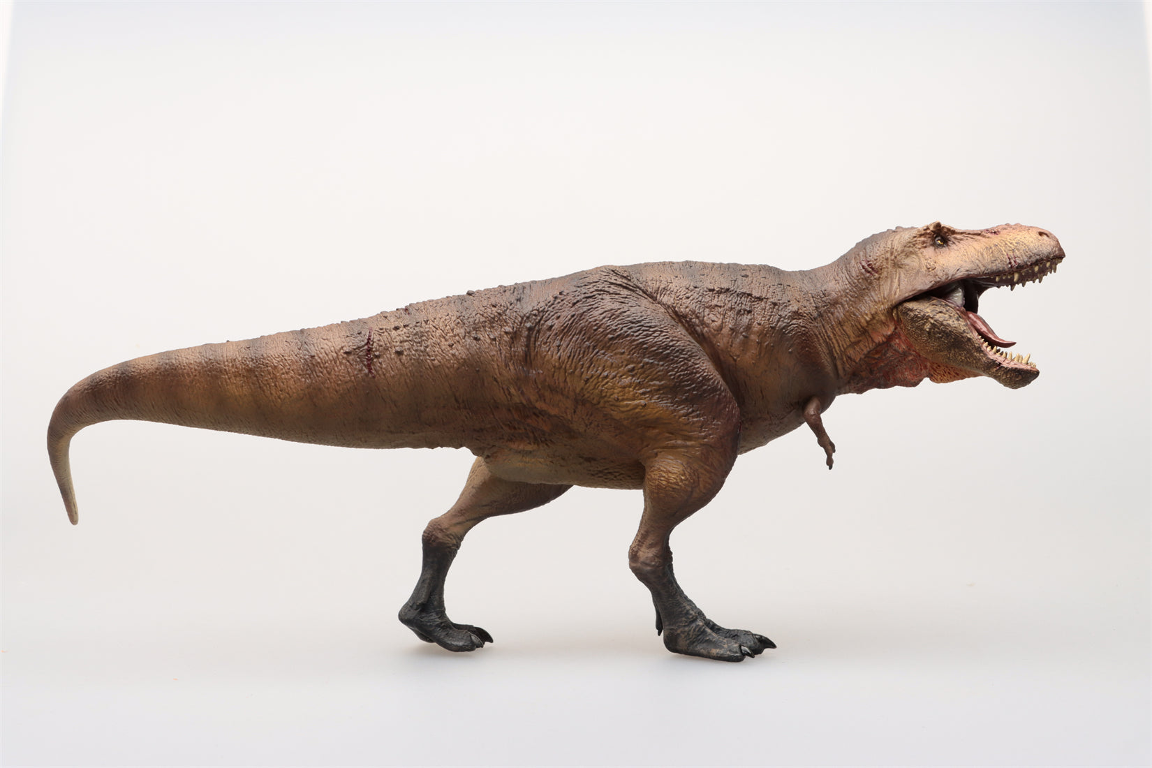 SHOWANNA Studio 1:35 Scale Tyrannosaurus Rex Scotty Model