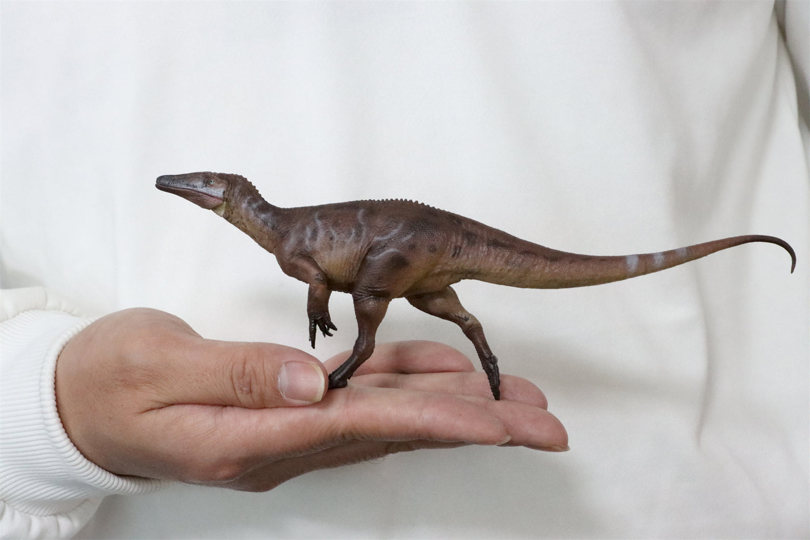 HAOLONGGOOD 1:35 Scale Megaraptor Model