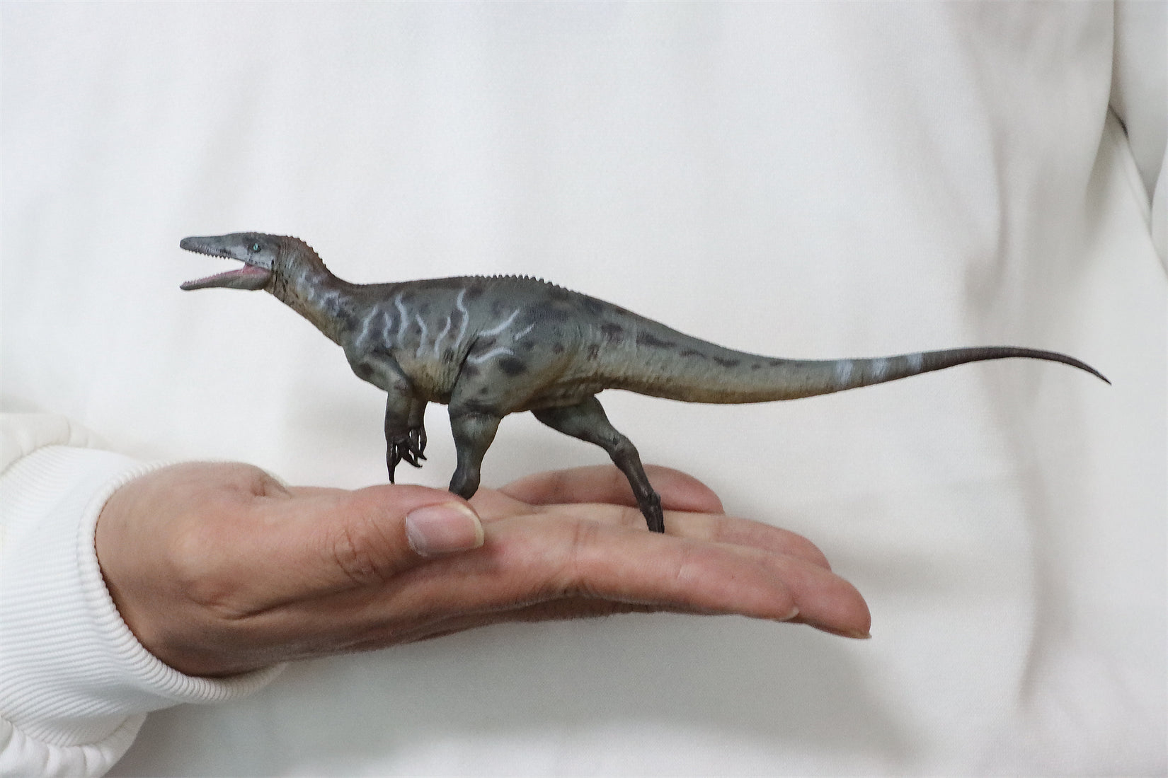 HAOLONGGOOD 1:35 Scale Megaraptor Model