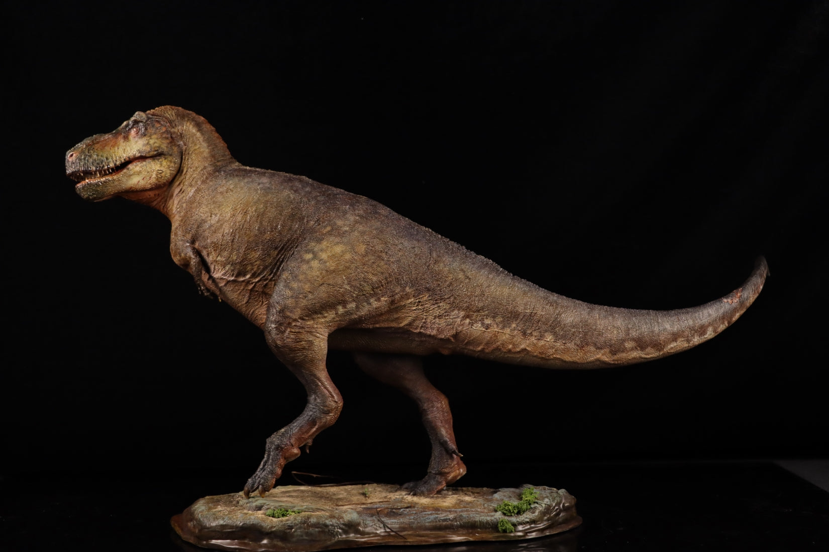 Sumeru Studio 1/35 Scale Tyrannosaurus Rex "Reg" Model
