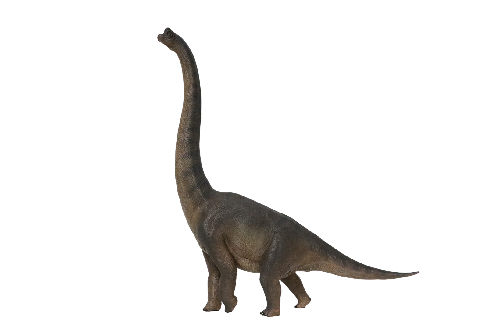 Nanmu Studio Brachiosaurus Watchmen Figure