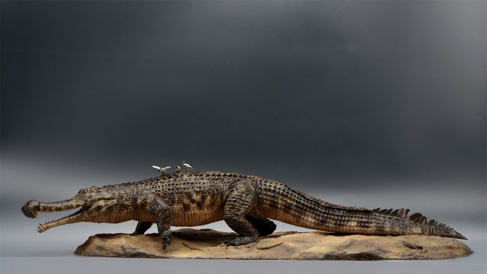 Anningpale 1:18 Scale Sarcosuchus imperator Model