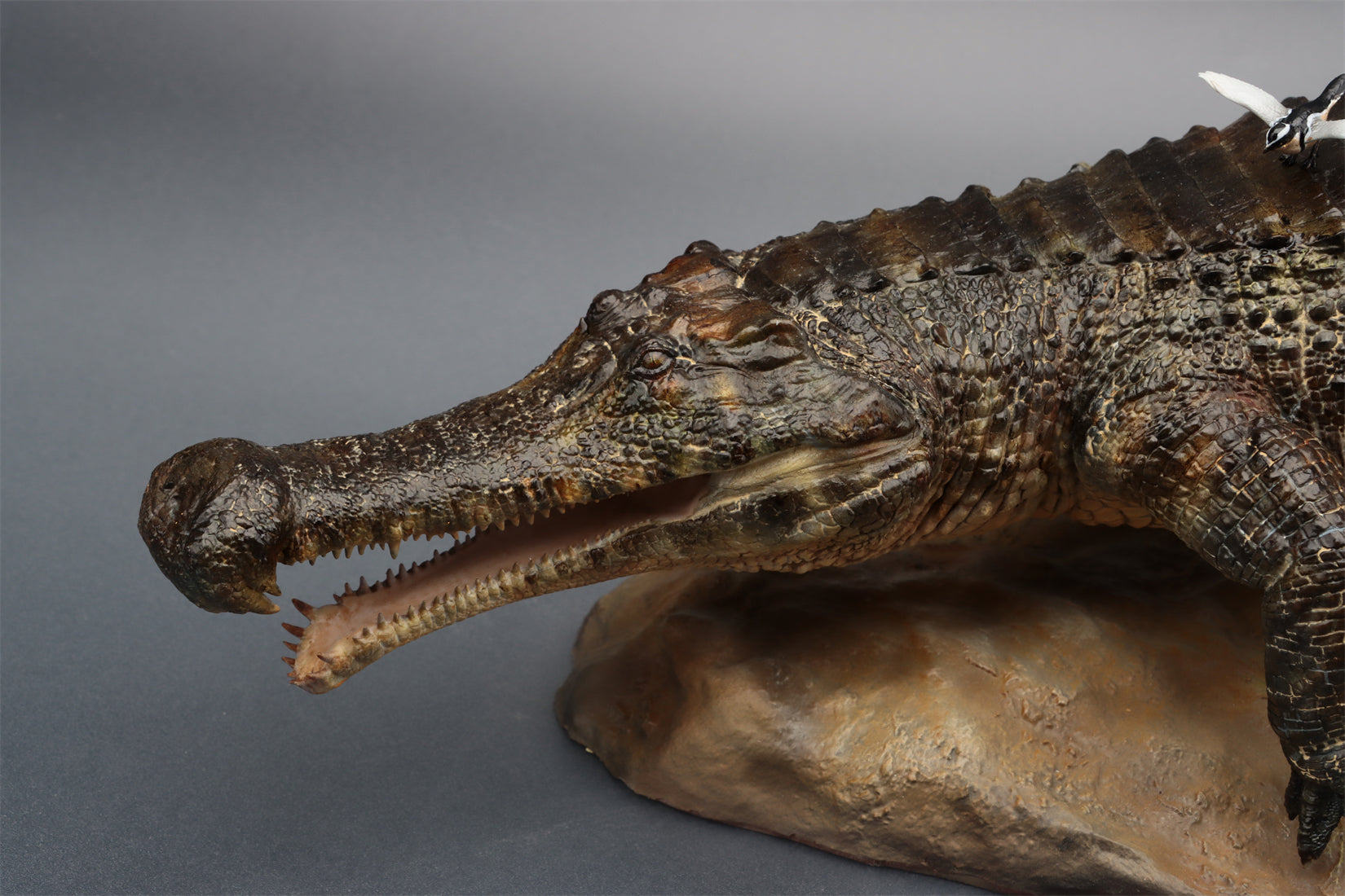 Anningpale 1:18 Scale Sarcosuchus imperator Model