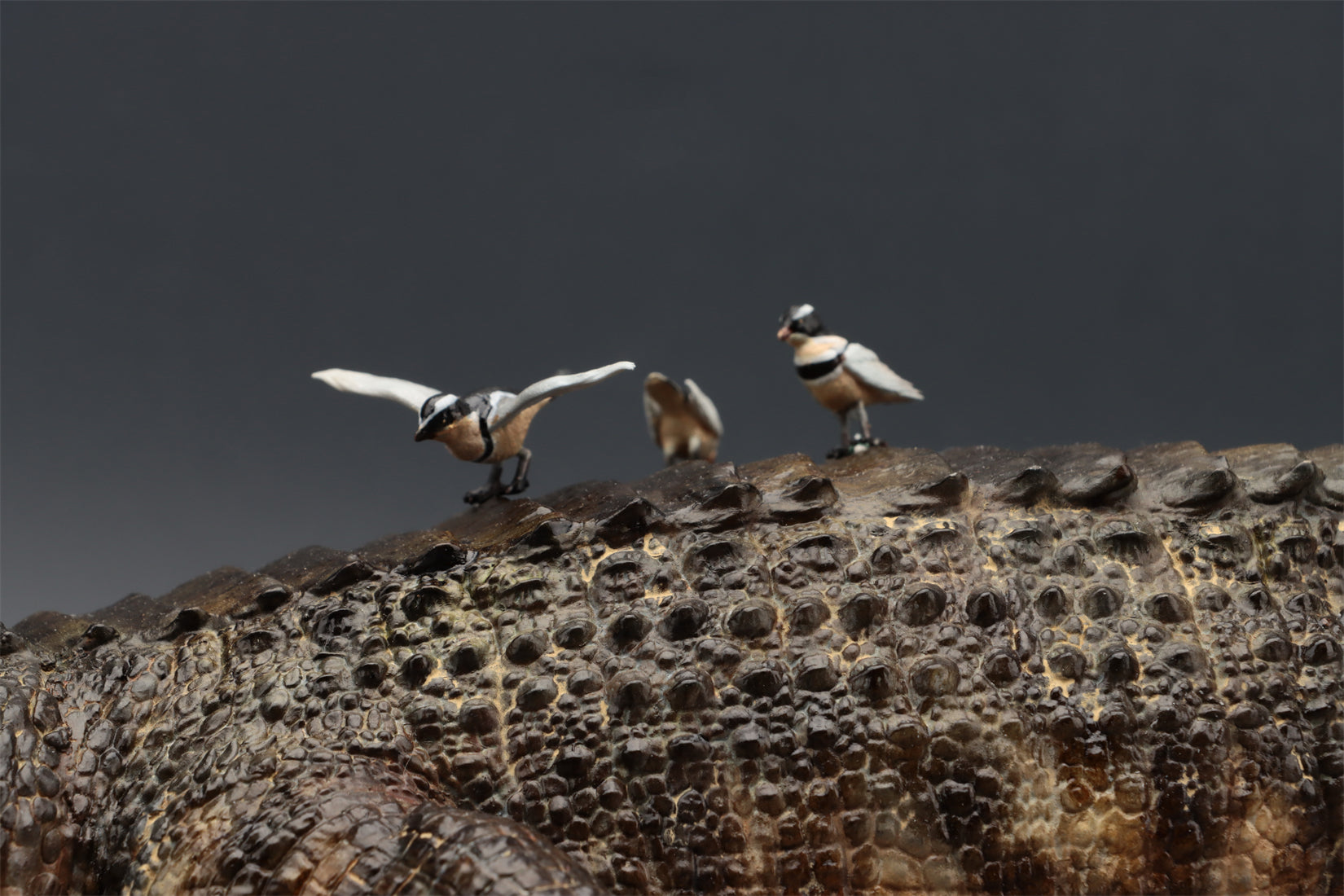 Anningpale 1:18 Scale Sarcosuchus imperator Model