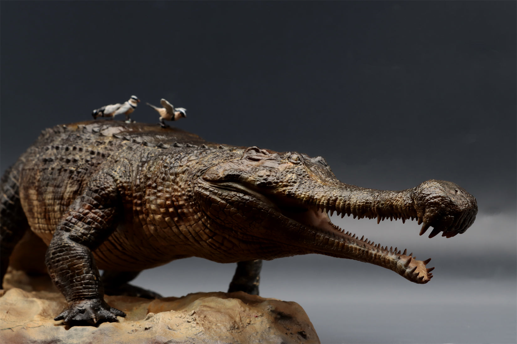 Anningpale 1:18 Scale Sarcosuchus imperator Model