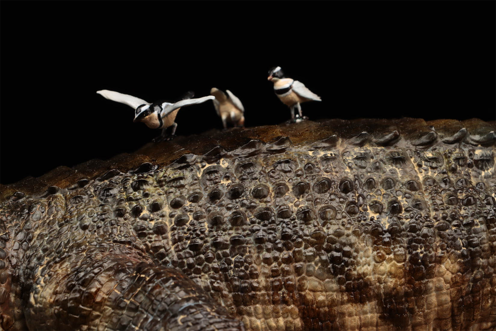 Anningpale 1:18 Scale Sarcosuchus imperator Model