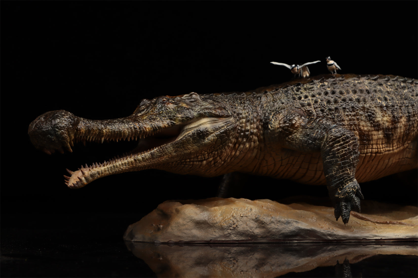Anningpale 1:18 Scale Sarcosuchus imperator Model