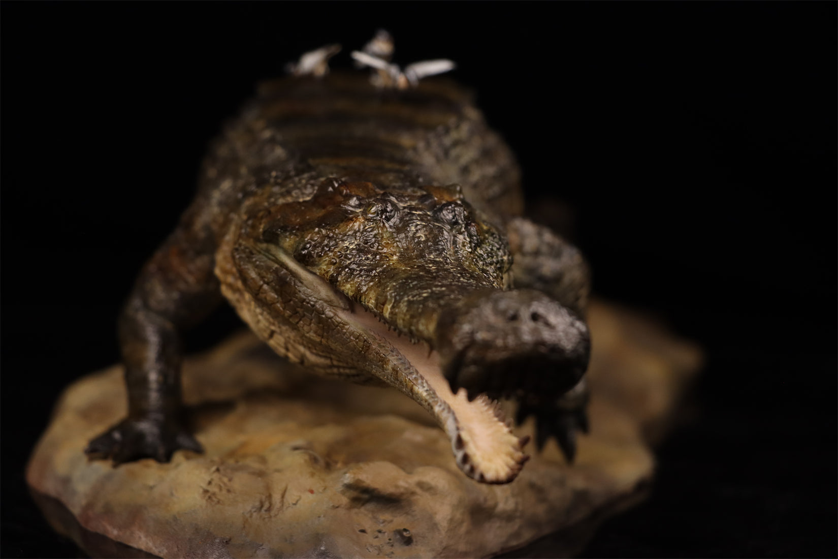 Anningpale 1:18 Scale Sarcosuchus imperator Model