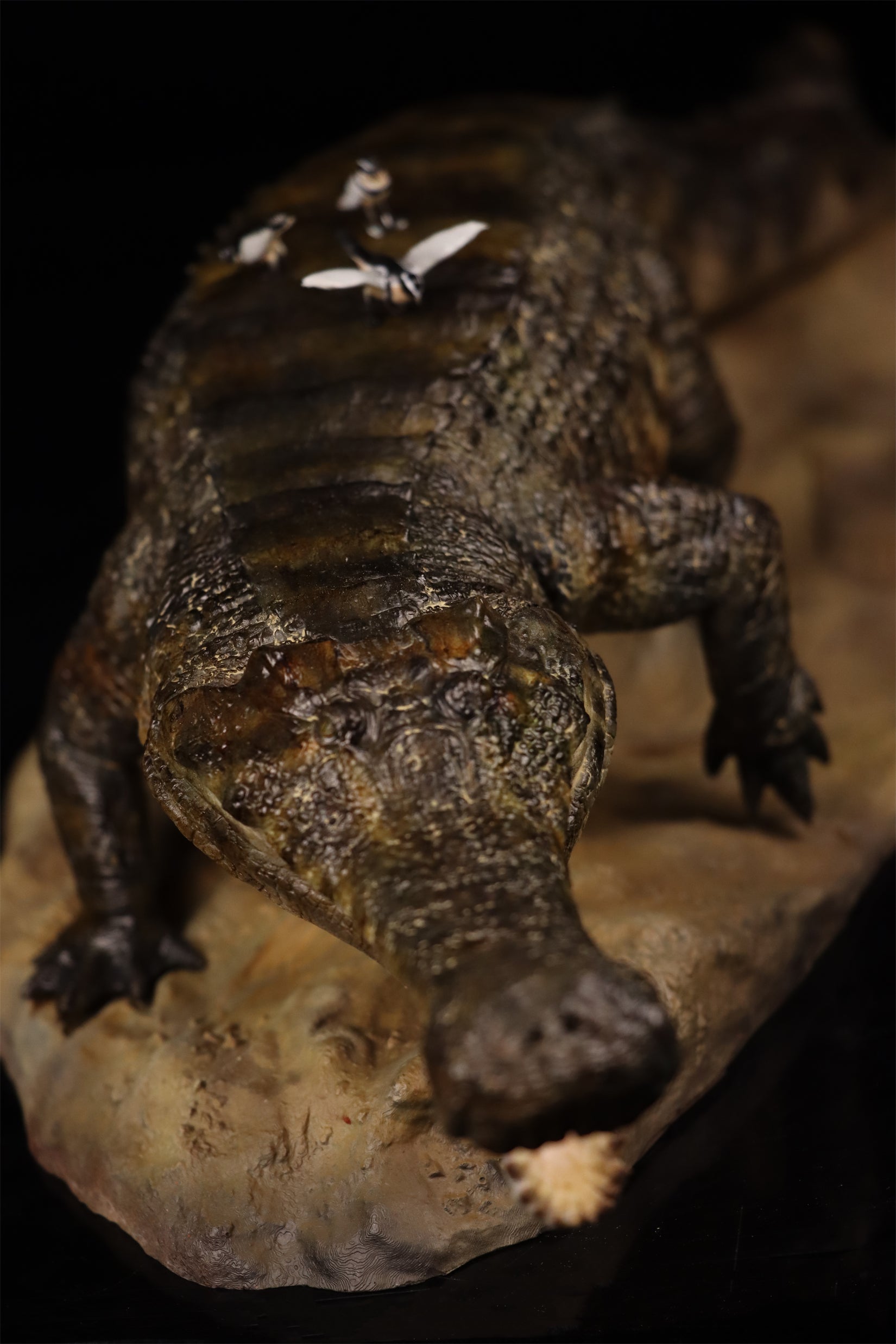 Anningpale 1:18 Scale Sarcosuchus imperator Model