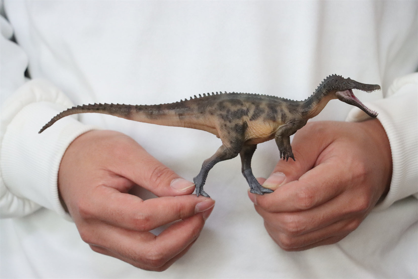 HAOLONGGOOD 1:35 Scale Baryonyx Model