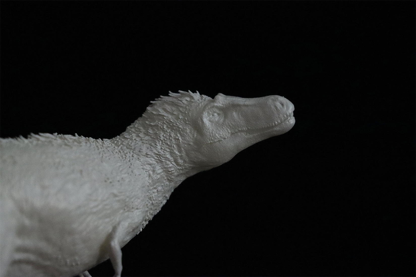 Anningpale 1:35 Scale Gualicho Bonatitan reigi Statue