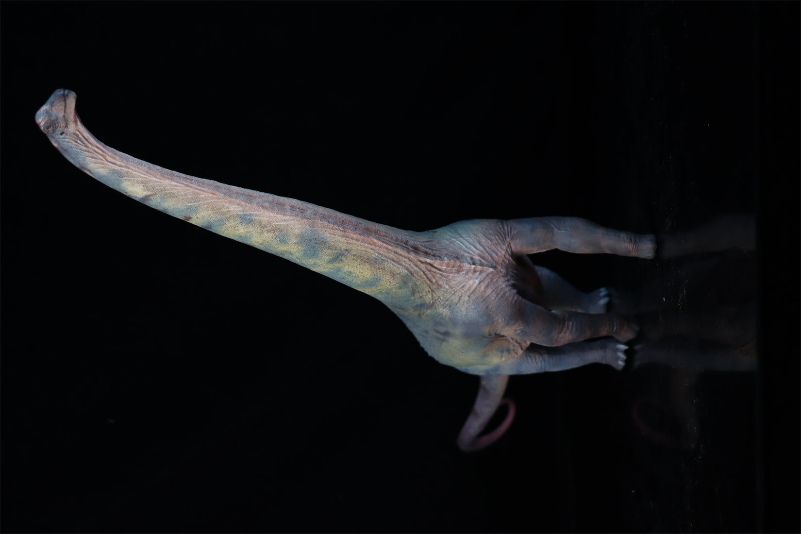 HAOLONGGOOD 1:35 Scale Alamosaurus Model