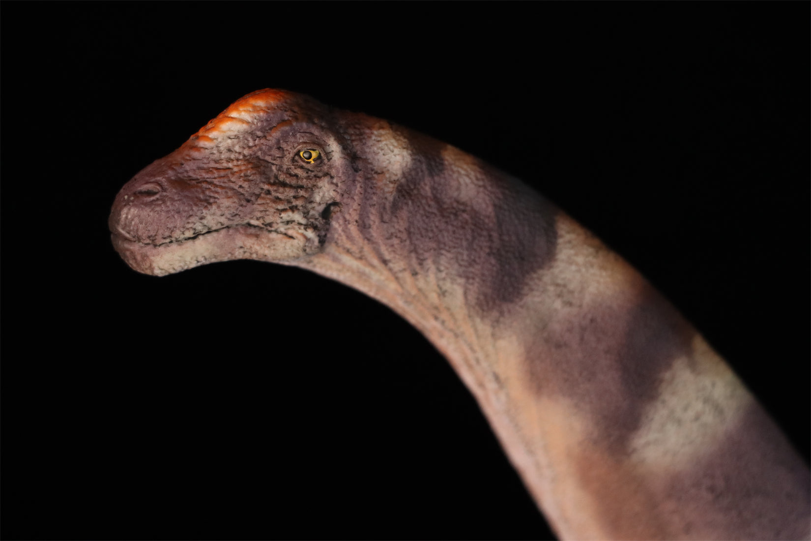 HAOLONGGOOD 1:35 Scale Alamosaurus Model