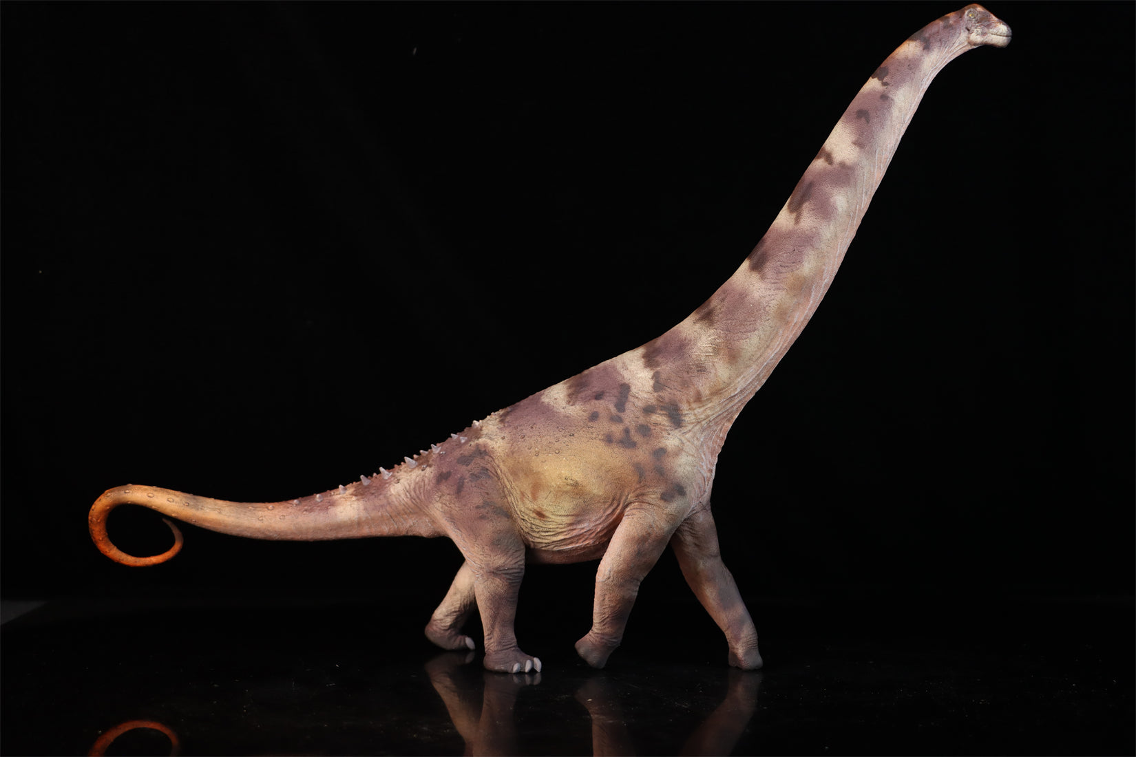 HAOLONGGOOD 1:35 Scale Alamosaurus Model
