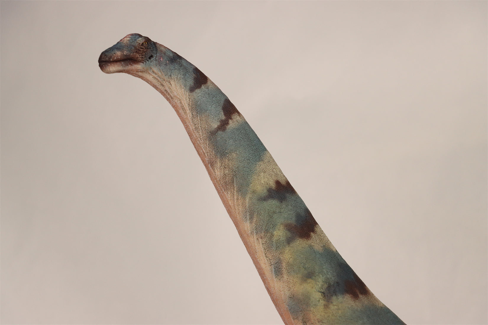 HAOLONGGOOD 1:35 Scale Alamosaurus Model