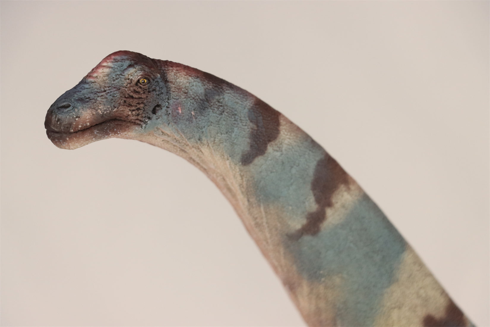 HAOLONGGOOD 1:35 Scale Alamosaurus Model