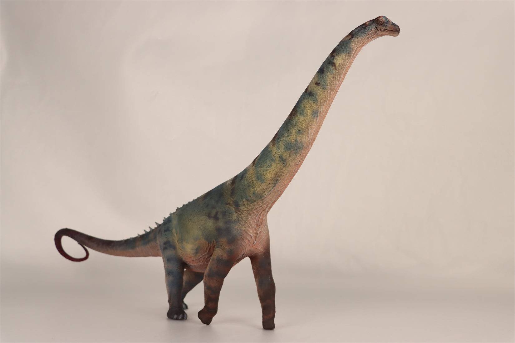 HAOLONGGOOD 1:35 Scale Alamosaurus Model