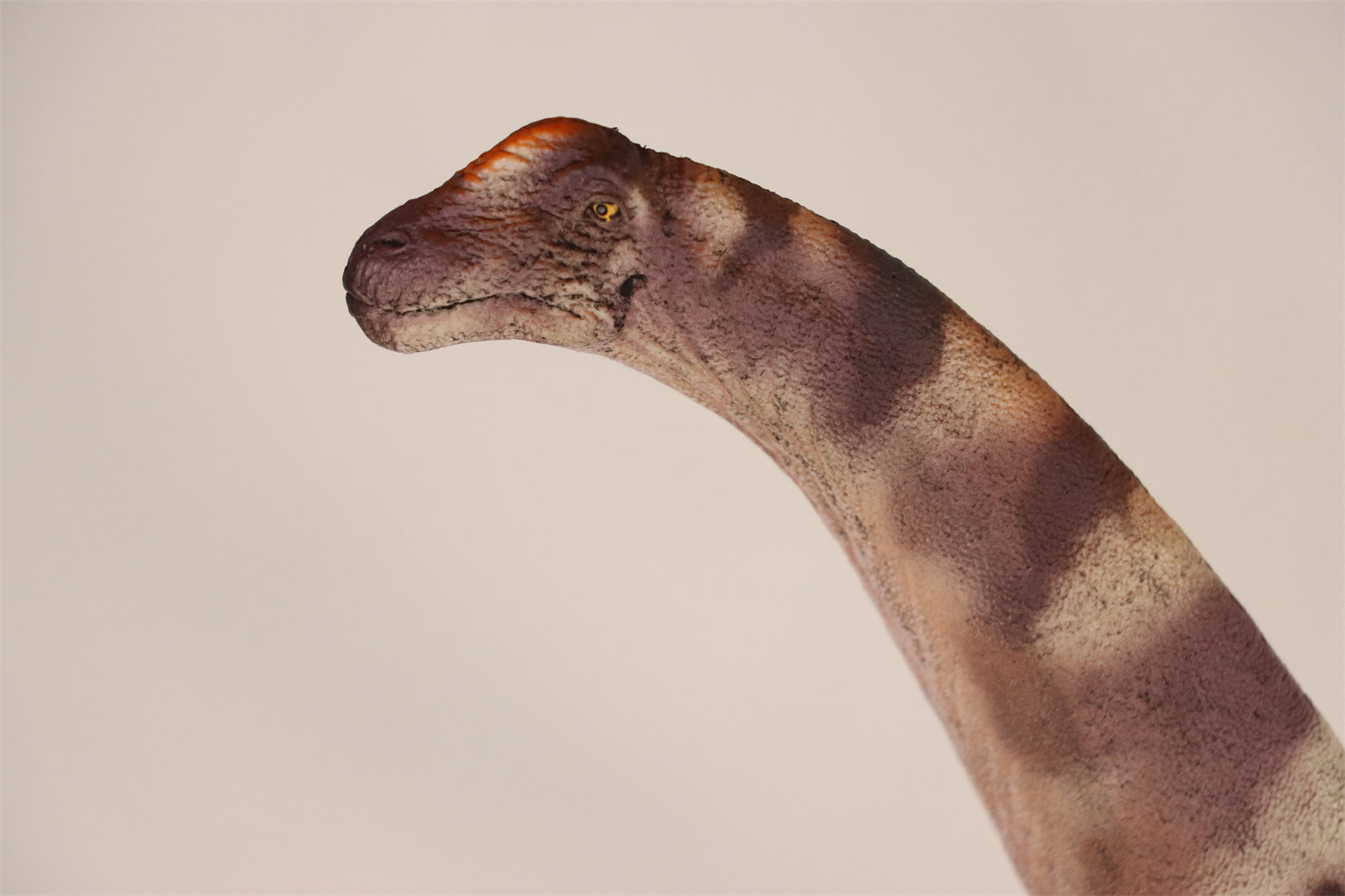 HAOLONGGOOD 1:35 Scale Alamosaurus Model