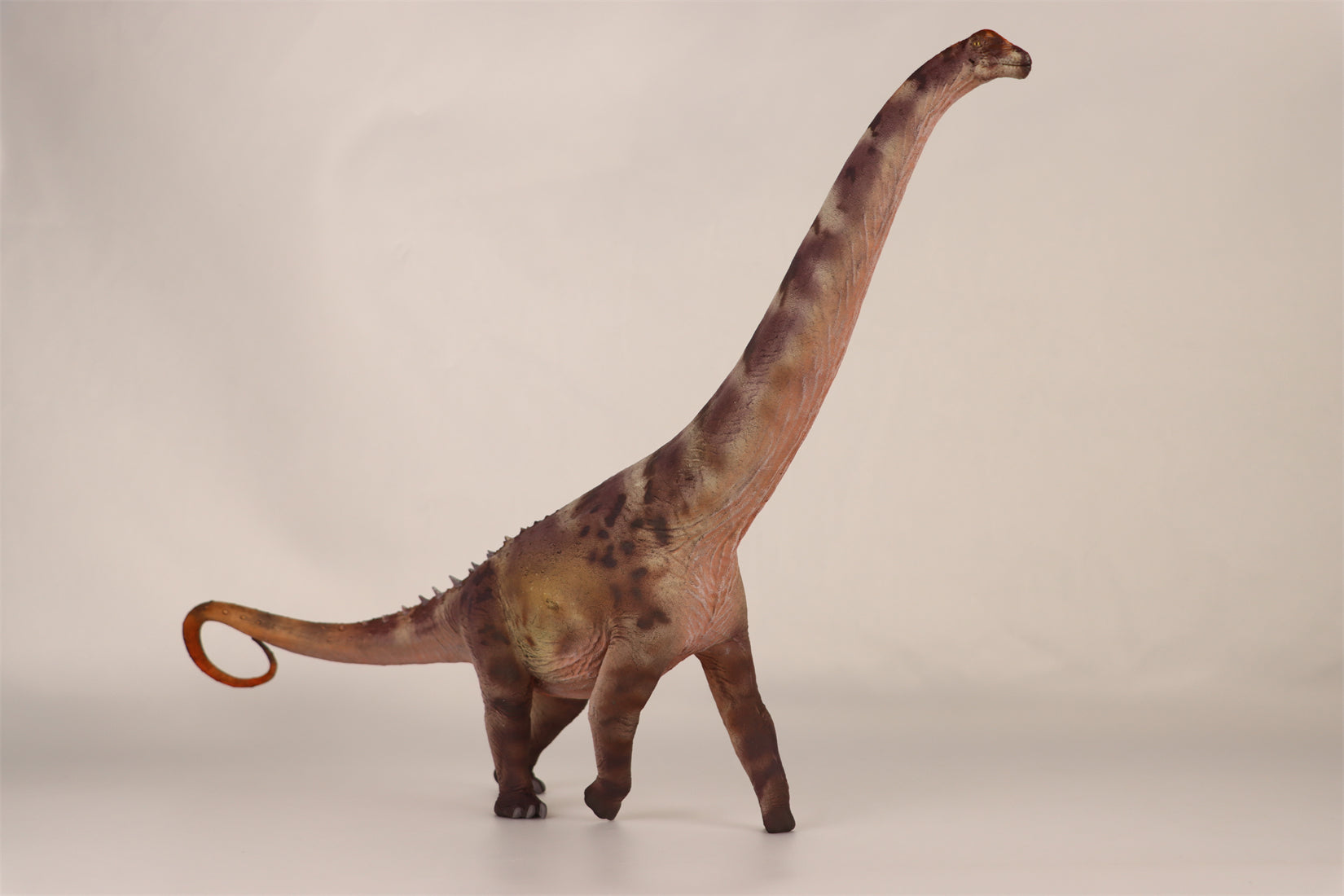 HAOLONGGOOD 1:35 Scale Alamosaurus Model