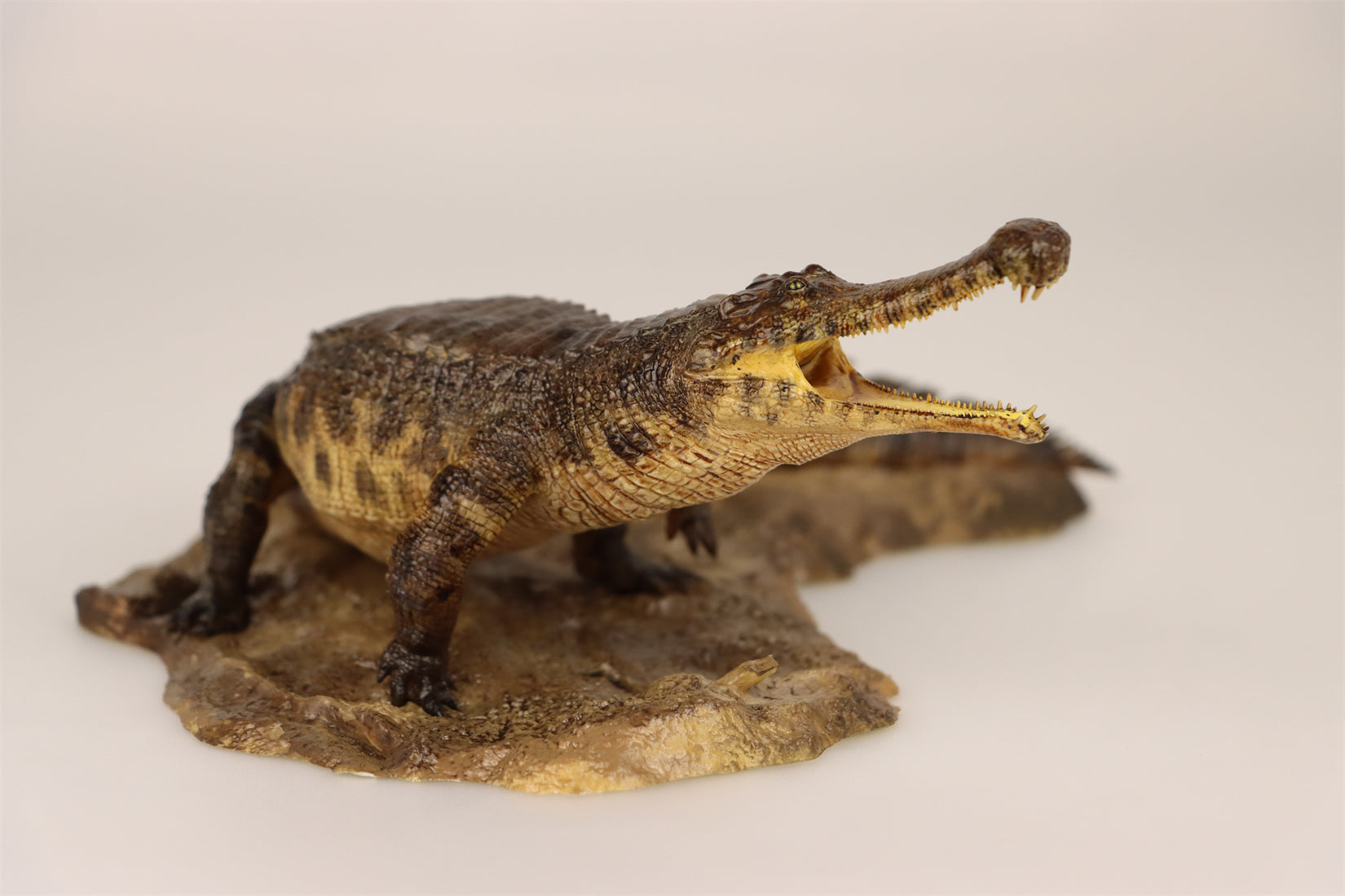 Anningpale 1:35 Scale Sarcosuchus imperator Model