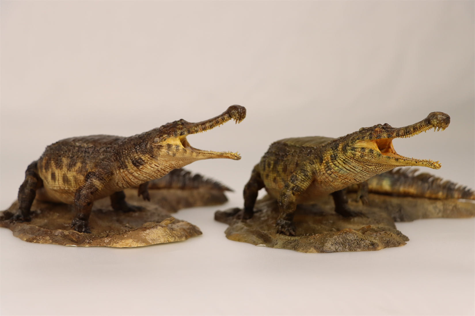 Anningpale 1:35 Scale Sarcosuchus imperator Model