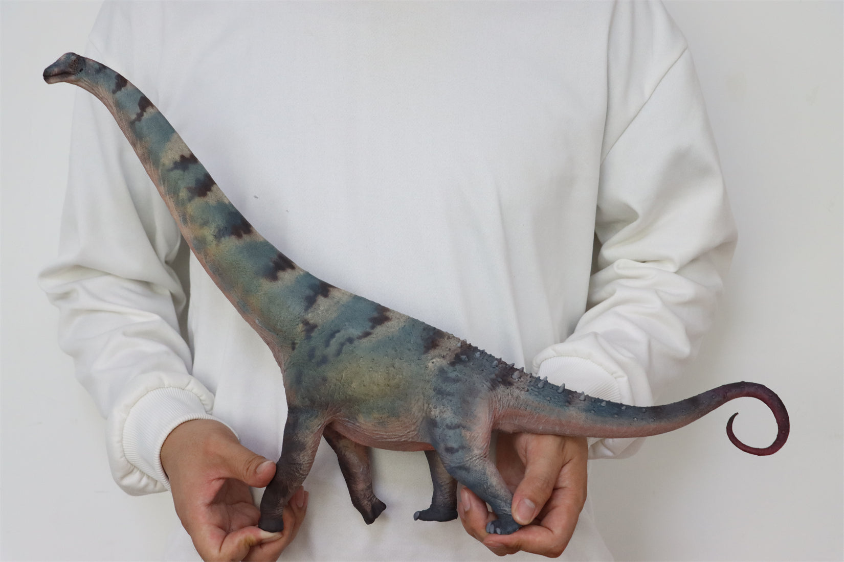 HAOLONGGOOD 1:35 Scale Alamosaurus Model