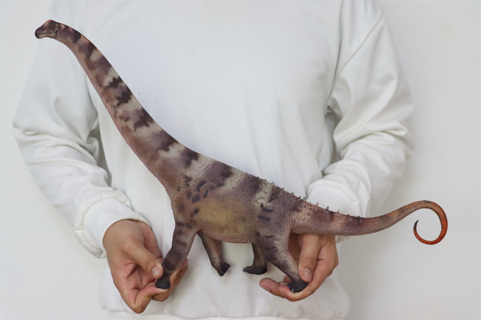 HAOLONGGOOD 1:35 Scale Alamosaurus Model