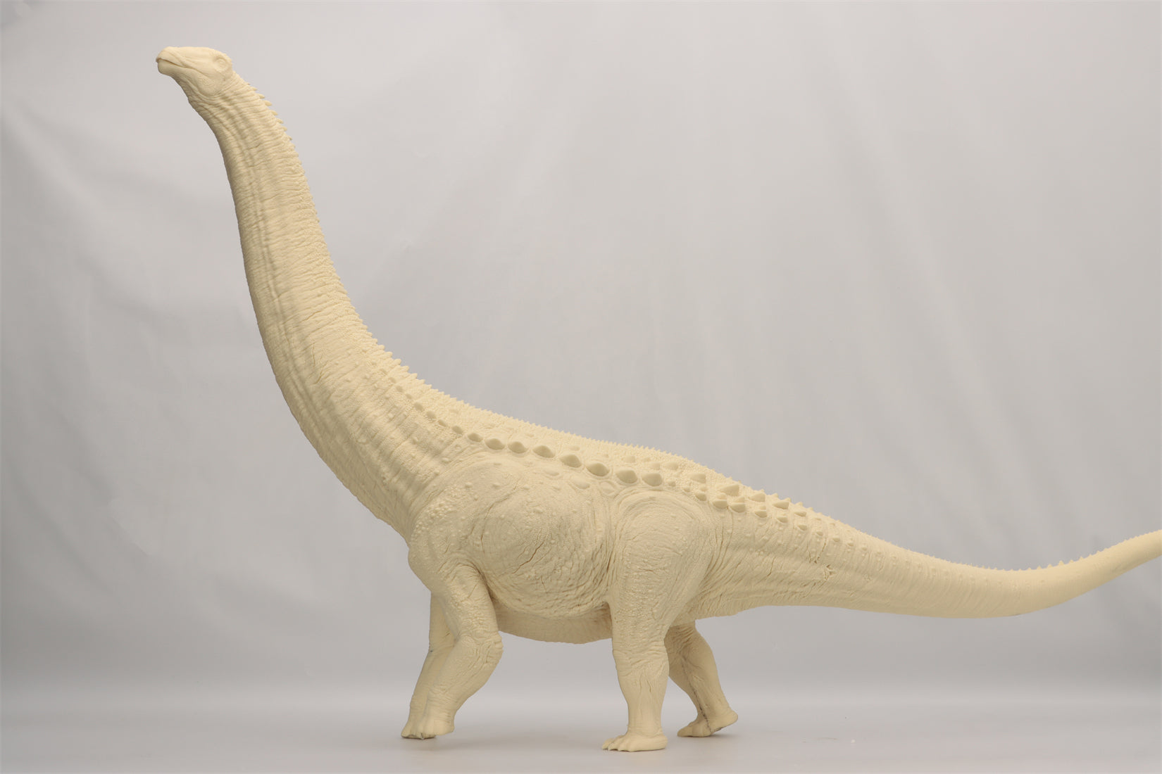 Anningpale 1:35 Scale Patagotitan Model