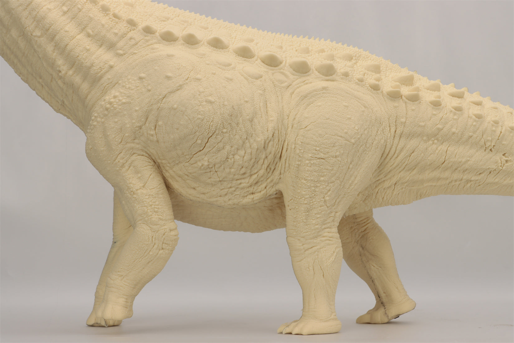 Anningpale 1:35 Scale Patagotitan Model