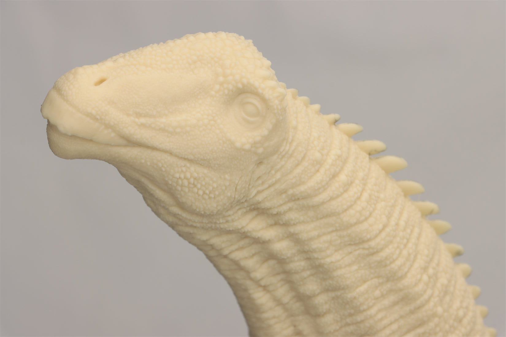 Anningpale 1:35 Scale Patagotitan Model