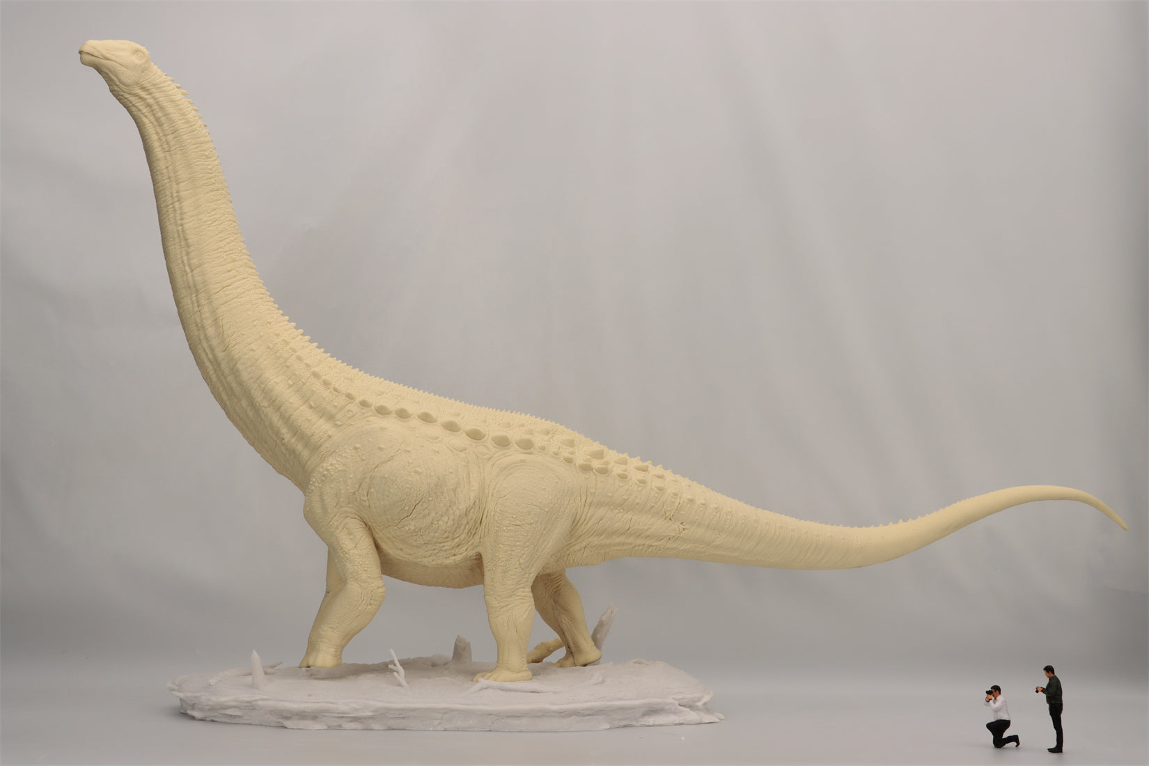 Anningpale 1:35 Scale Patagotitan Model