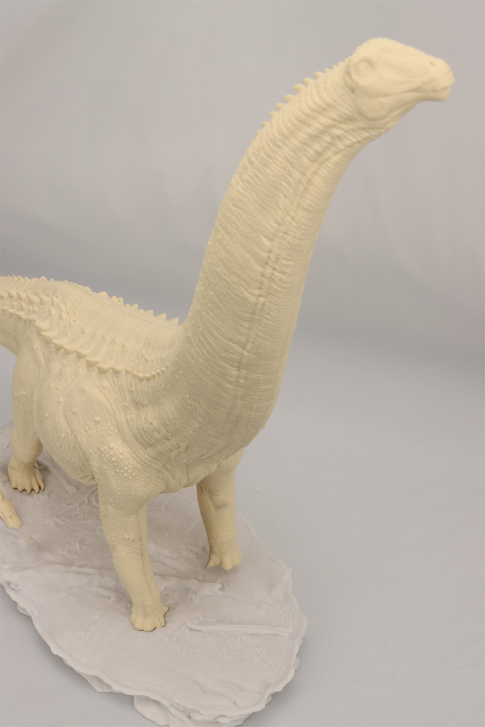 Anningpale 1:35 Scale Patagotitan Model