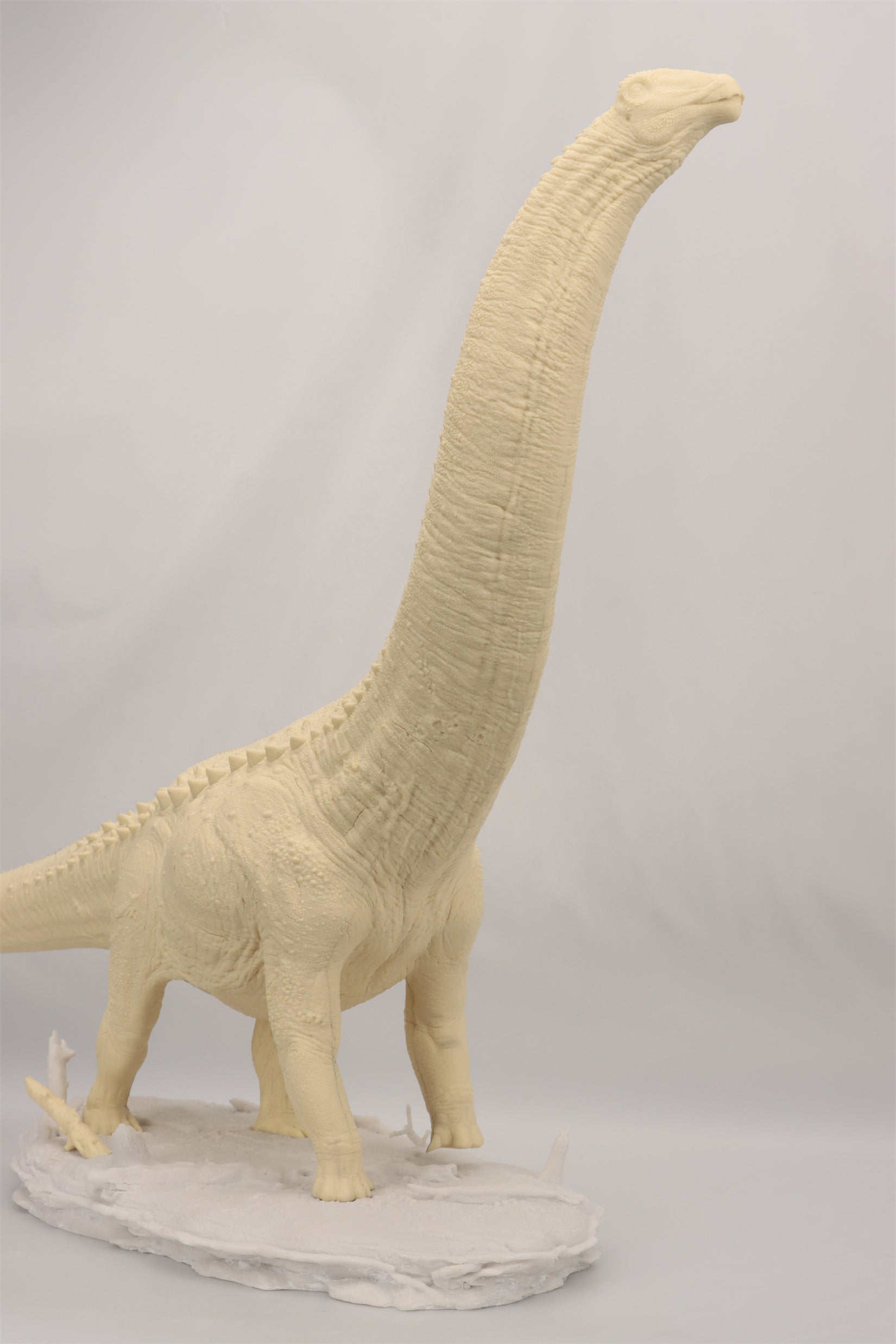Anningpale 1:35 Scale Patagotitan Model