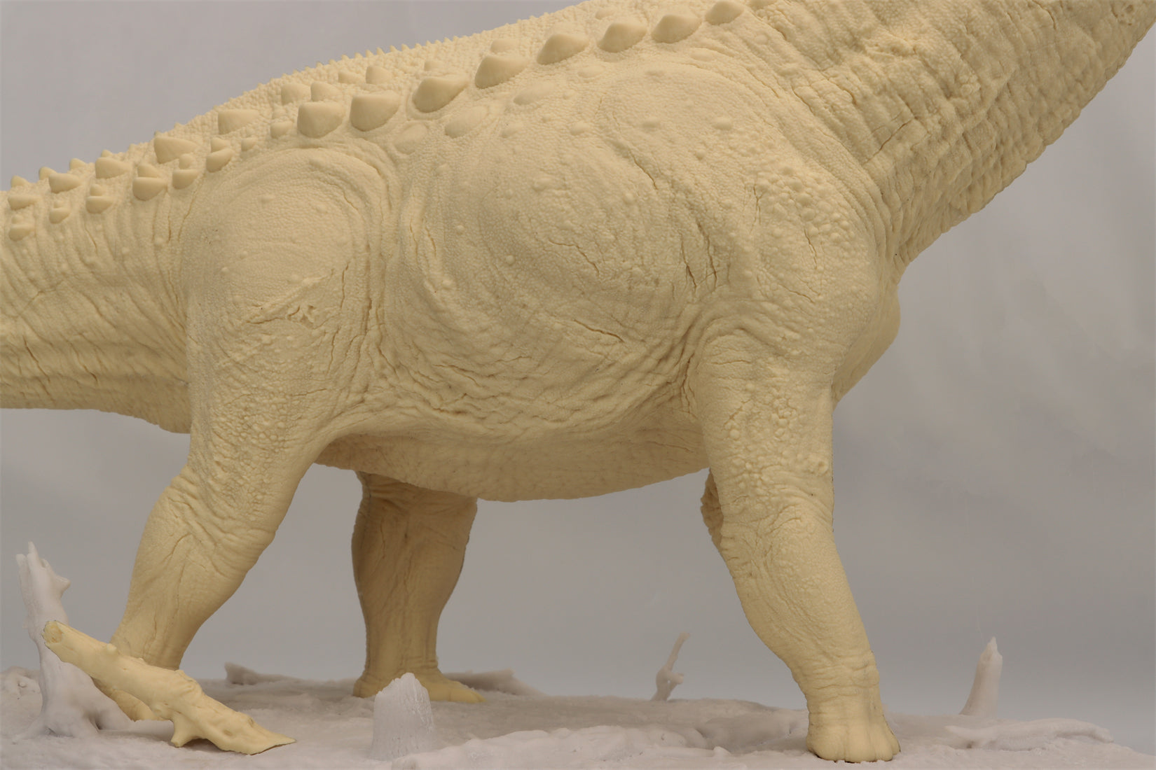 Anningpale 1:35 Scale Patagotitan Model