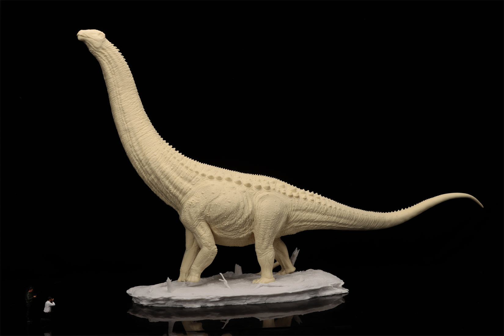 Anningpale 1:35 Scale Patagotitan Model