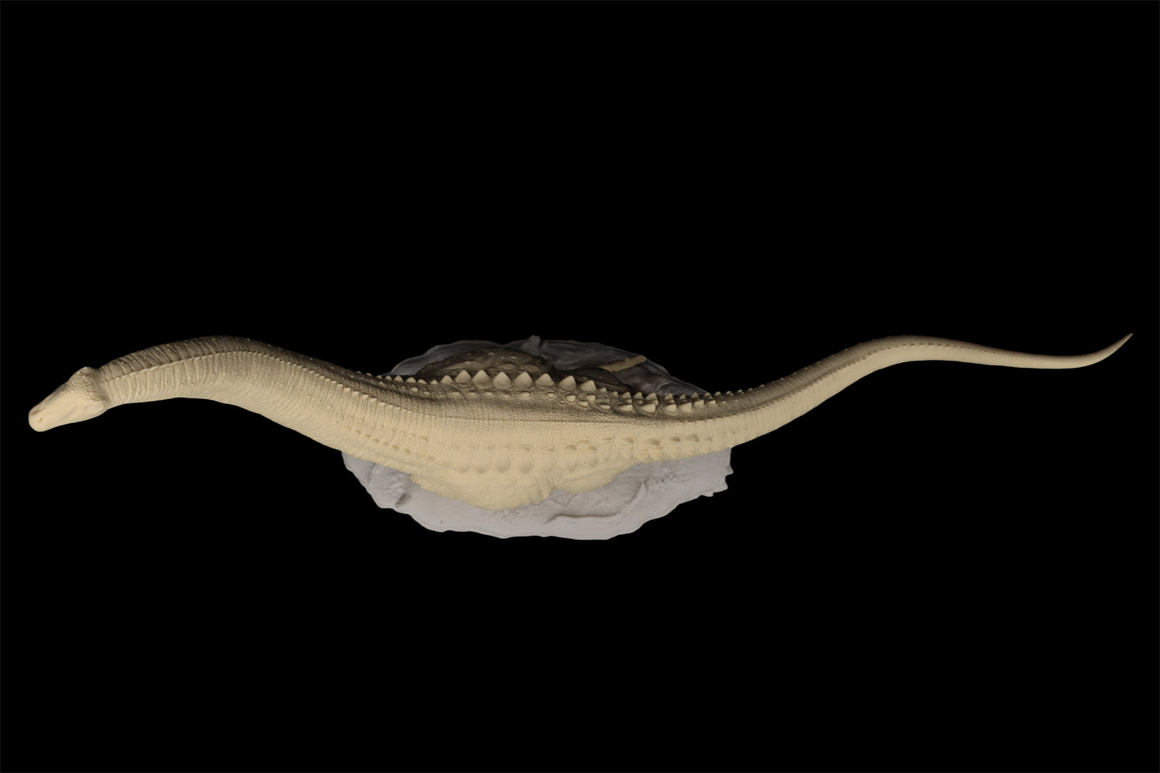 Anningpale 1:35 Scale Patagotitan Model