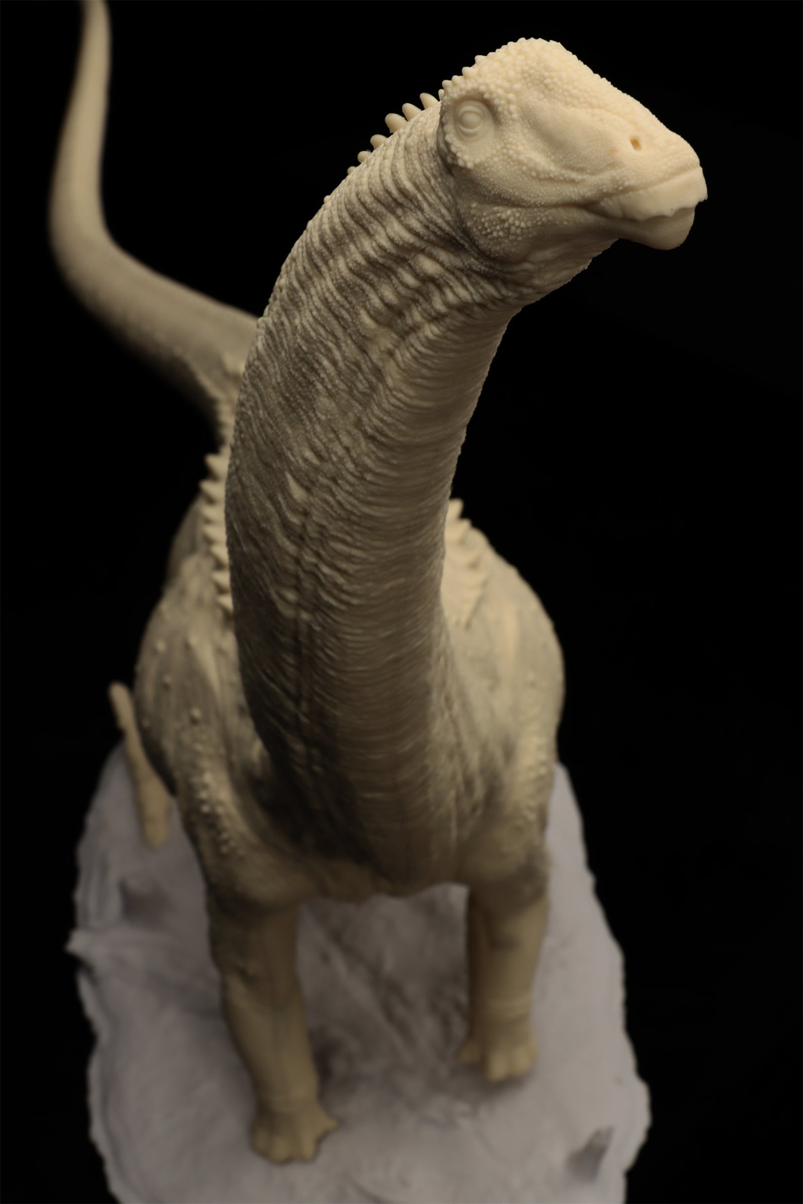 Anningpale 1:35 Scale Patagotitan Model
