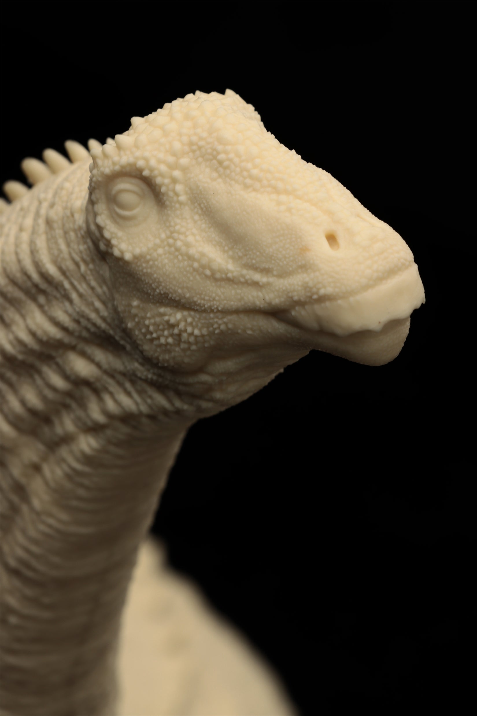 Anningpale 1:35 Scale Patagotitan Model
