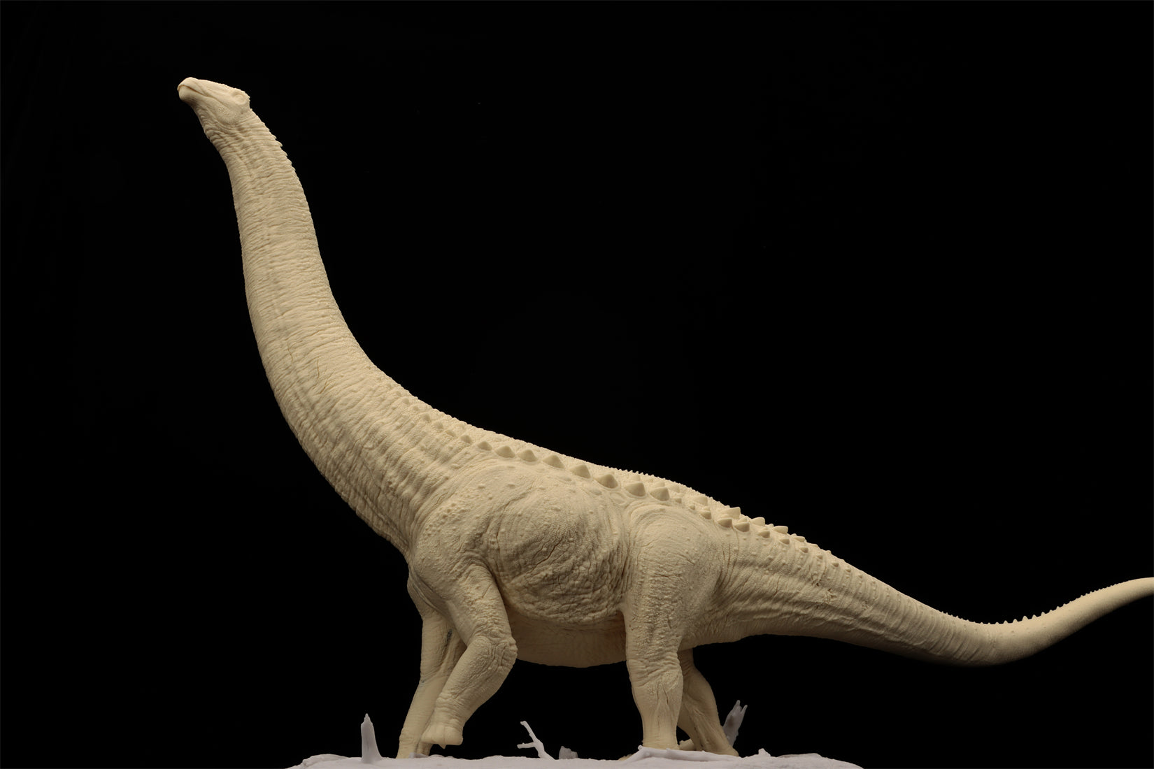 Anningpale 1:35 Scale Patagotitan Model