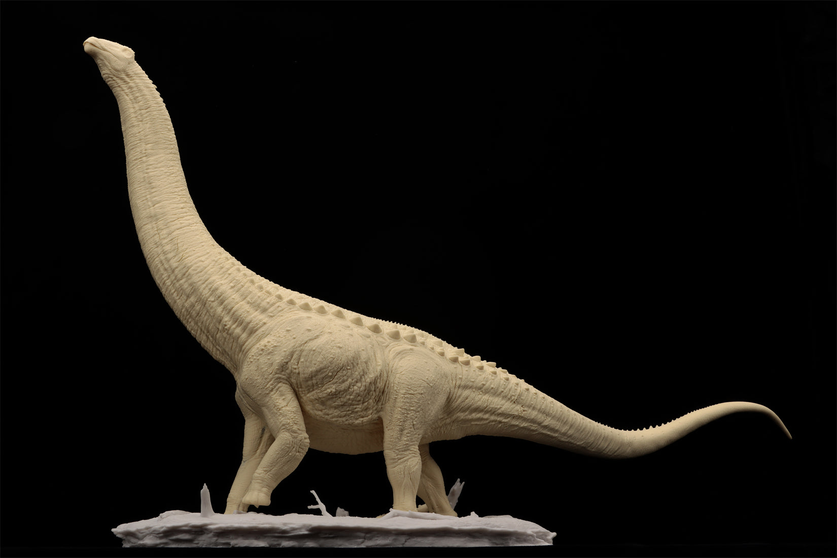 Anningpale 1:35 Scale Patagotitan Model