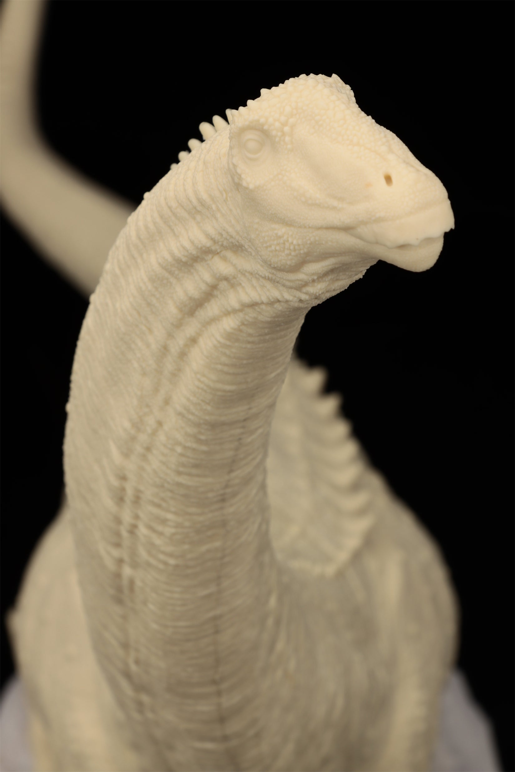 Anningpale 1:35 Scale Patagotitan Model