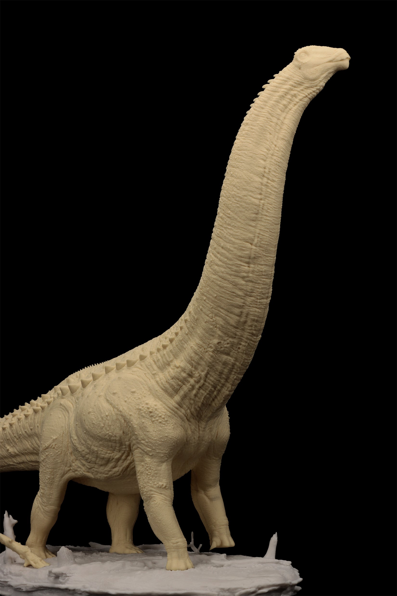 Anningpale 1:35 Scale Patagotitan Model
