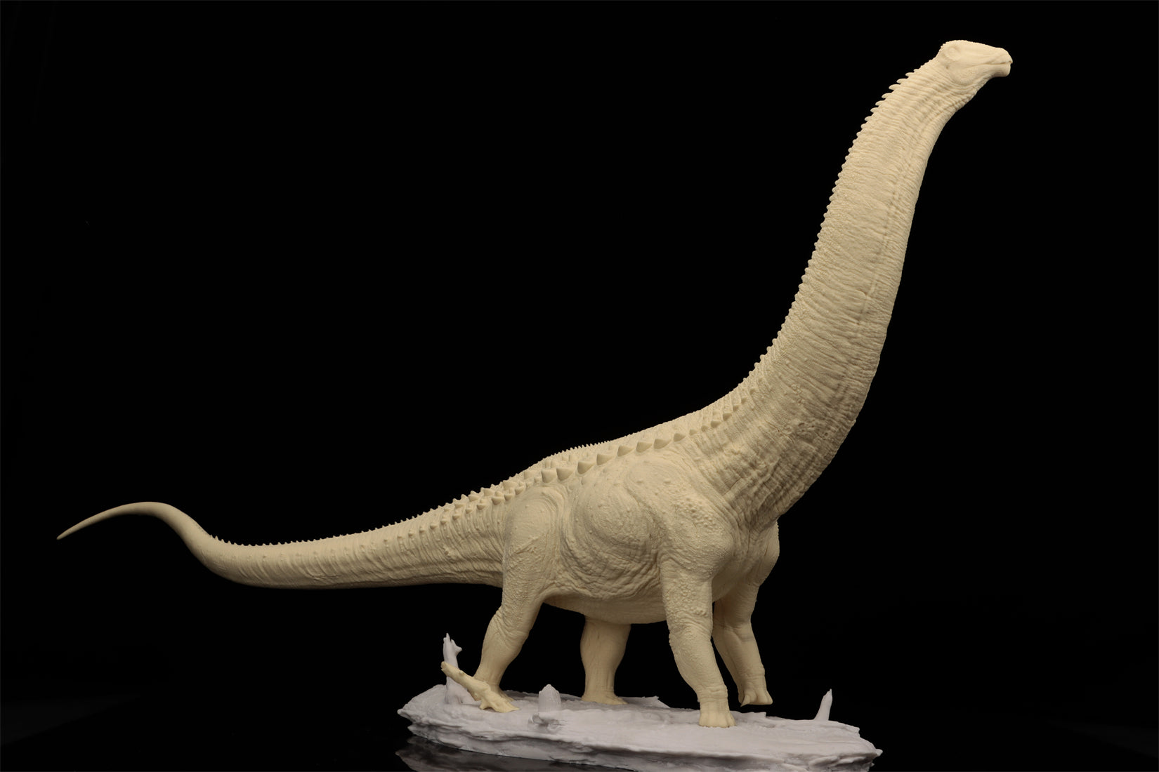 Anningpale 1:35 Scale Patagotitan Model