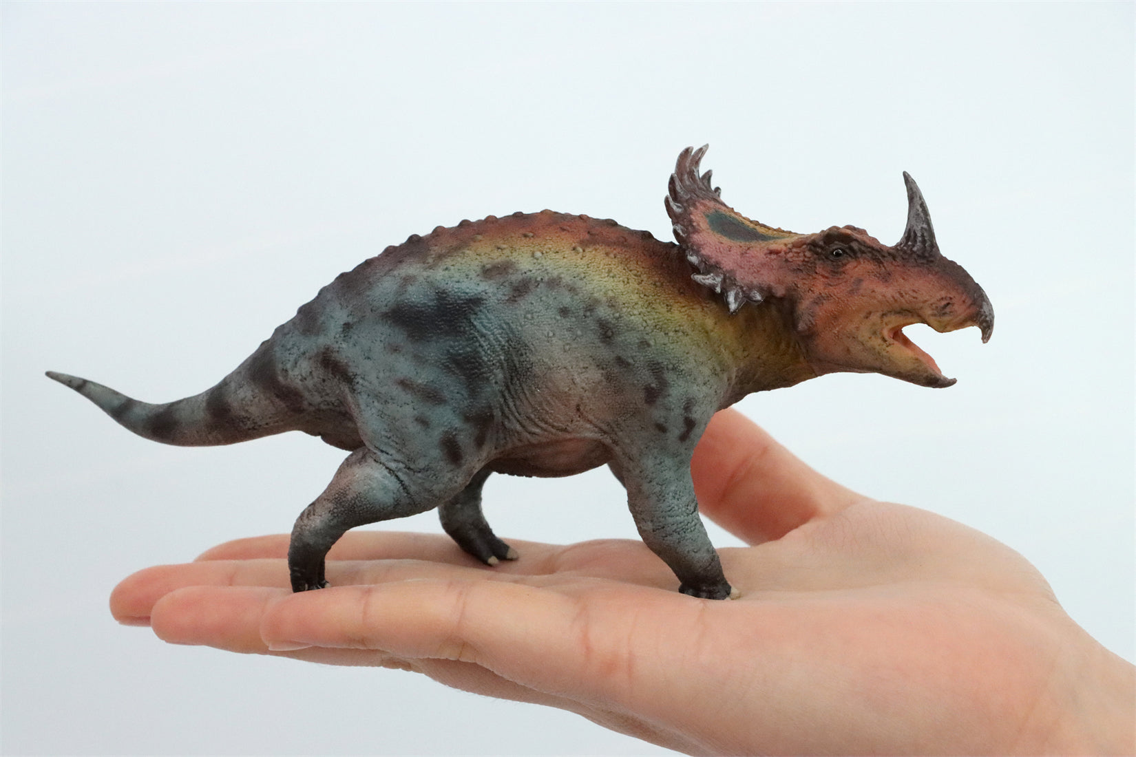HAOLONGGOOD 1:35 Scale Sinoceratops Model