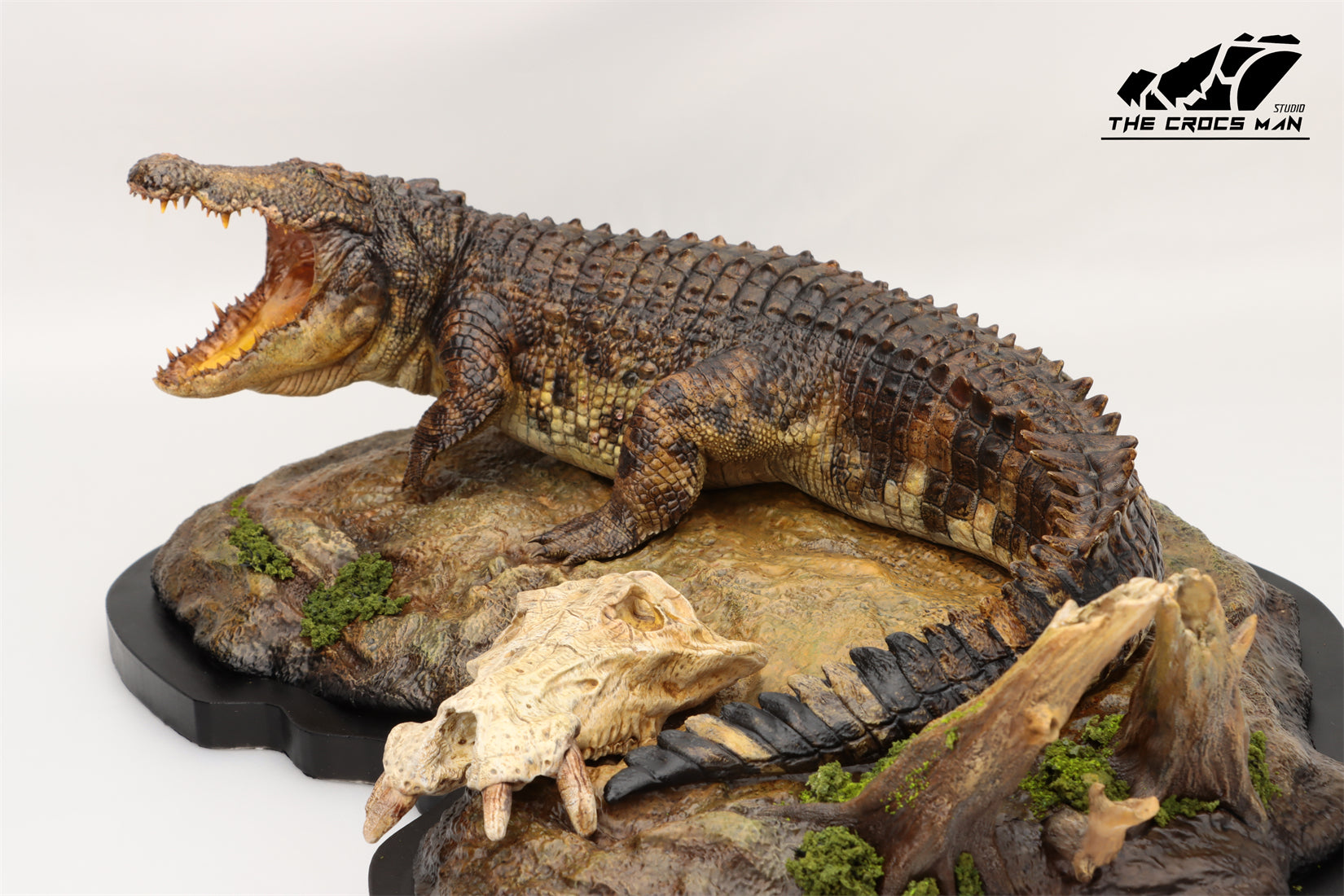 The Crocs Man Studio Nile Crocodile Gustave Model